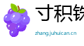 寸积铢累网